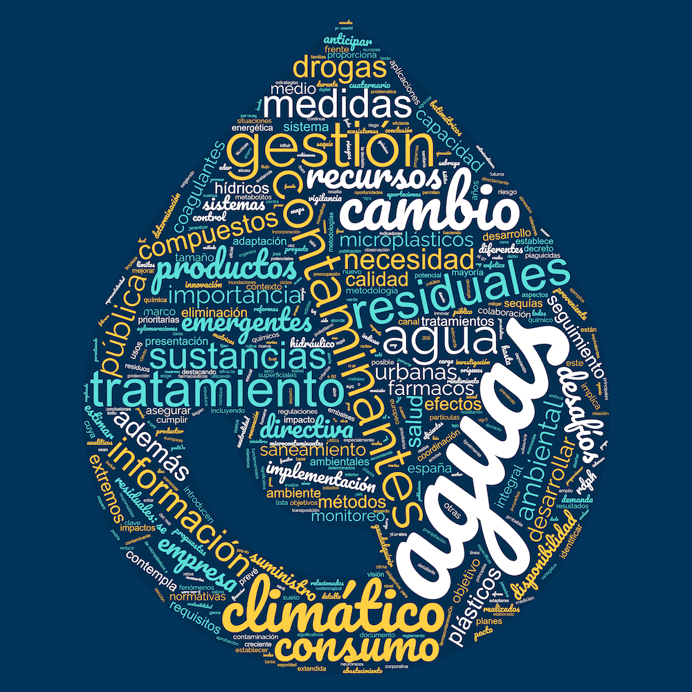 Informe XXXVII Congreso AEAS Castellón 2024